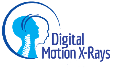 DMX Logo